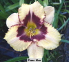 no image available at present.JPG 